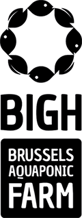 logo BIGH
