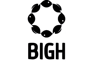 logo_BIGH_small