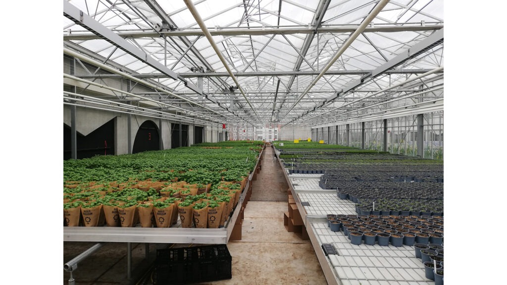 BIGH_Aquaponics_1600x900 BIGH_Aquaponics_1600x900